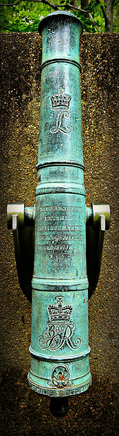 Silenced -- Surrendered British Cannon Photograph