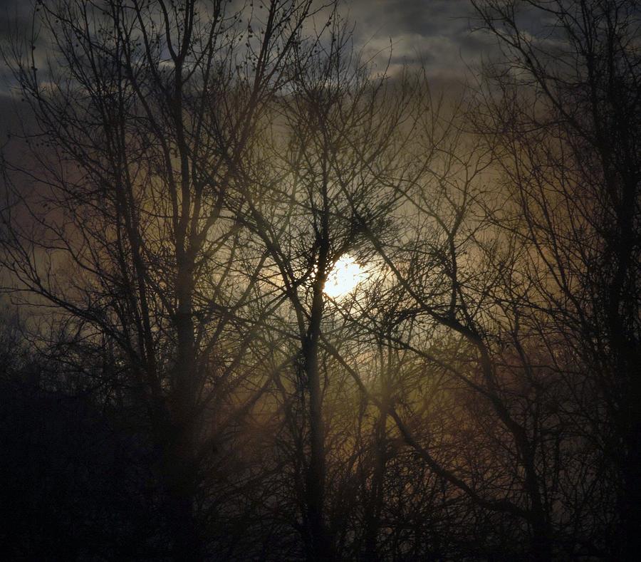 Silent Foggy Sunrise Photograph by John Glass