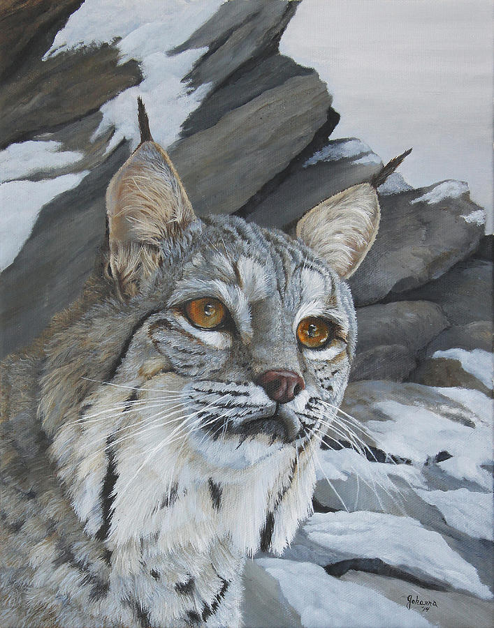 Silent Hunter Painting by Johanna Lerwick