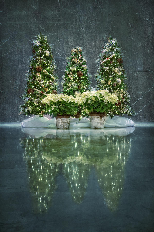 Christmas Photograph - Silent Night by Evelina Kremsdorf