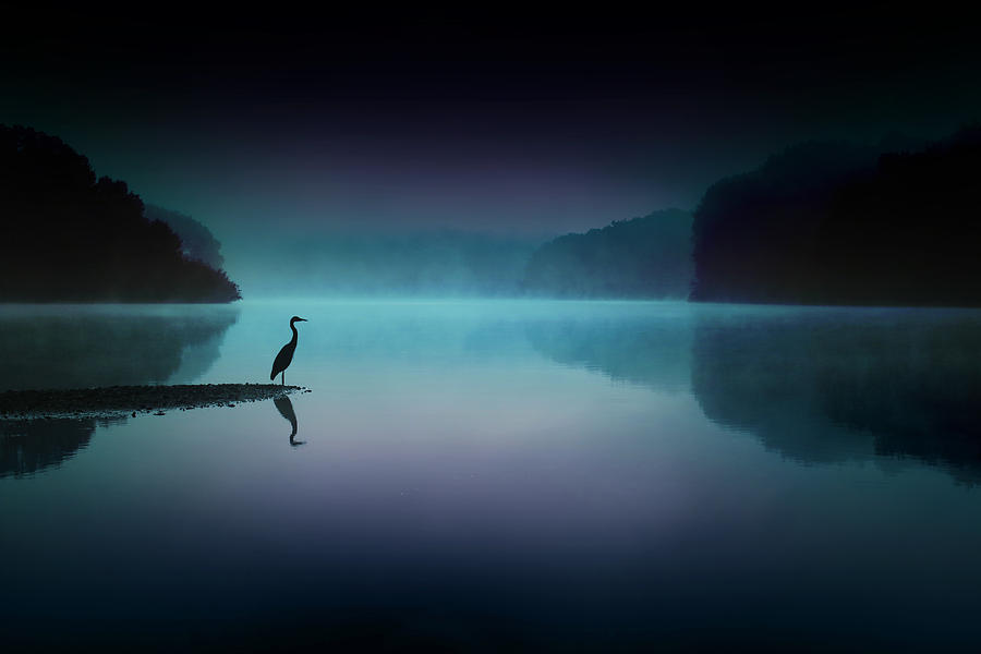 Silent Night Photograph by Rob Blair