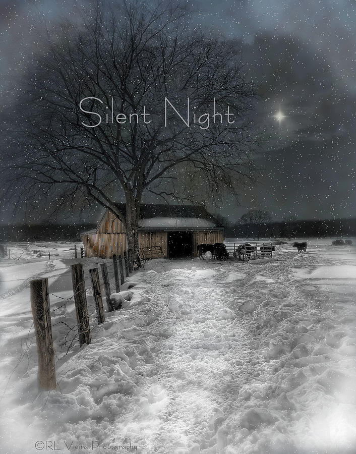 Silent Night Photograph by Robin-Lee Vieira