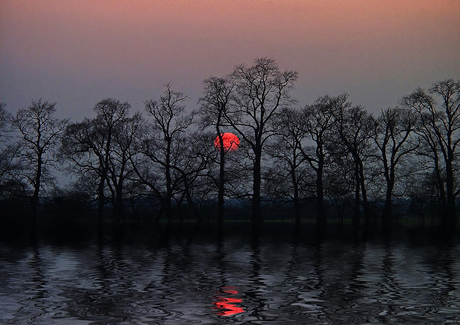 Sunset Photograph - Silent Sun by Joachim G Pinkawa