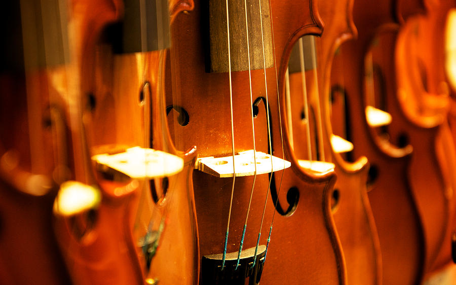 Violin Photograph - Silent violins by Maurizio Incurvati Violin Photograph - Silent violins by Maurizio Incurvati