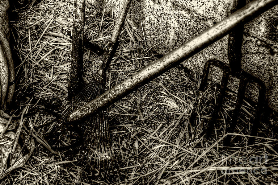 Silent Workers Photograph By Doc Braham - Fine Art America