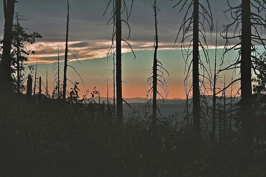 Silhouette @ Yosemite Photograph by SC Heffner