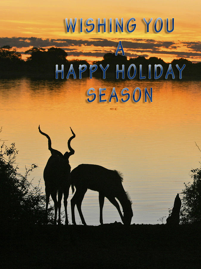 Silhouette at Sunset Holiday Card Photograph by Karen Zuk Rosenblatt