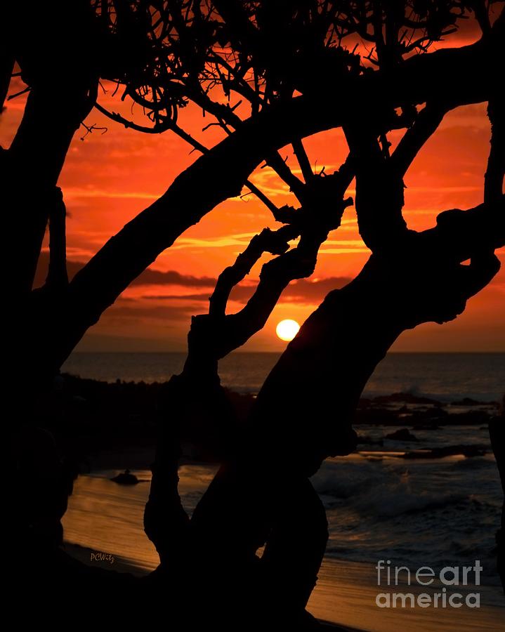 Silhouette Beach Sunset Photograph by Patrick Witz