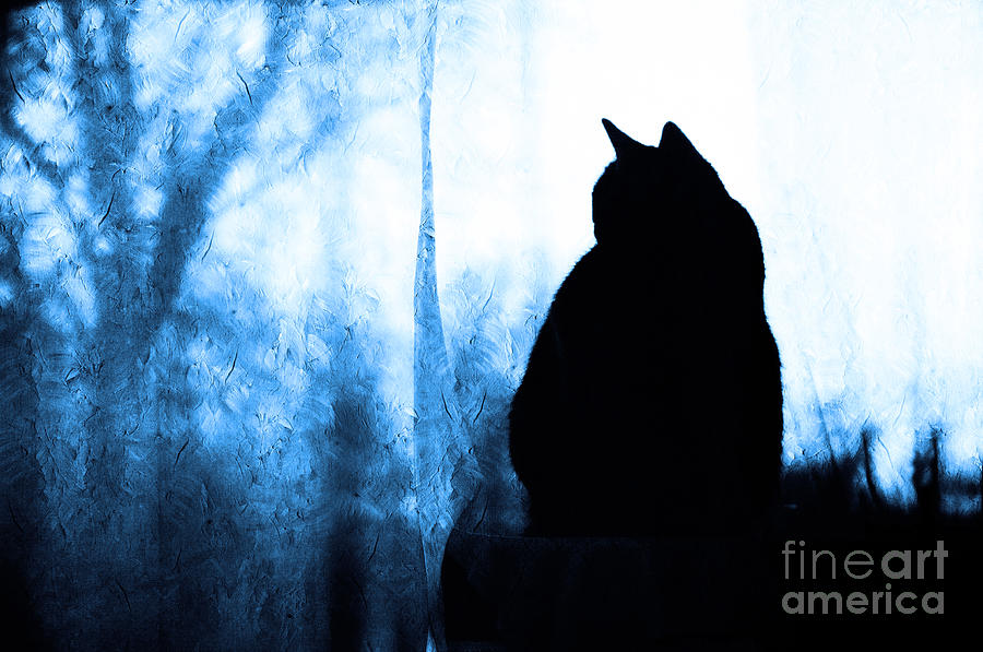 Silhouette In Blue Photograph by Andee Design