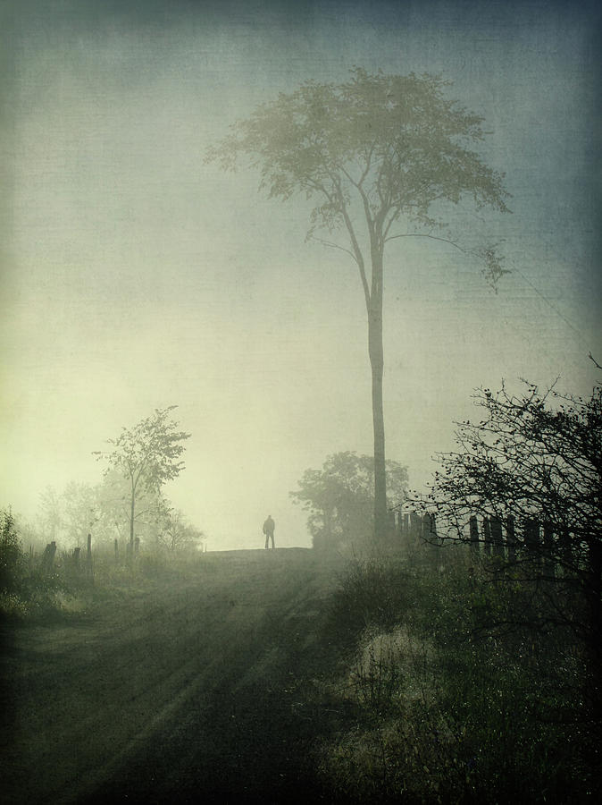 Silhouette Of A Man In Fog Photograph by Francois Dion Silhouette Of A Man In Fog Photograph by Francois Dion