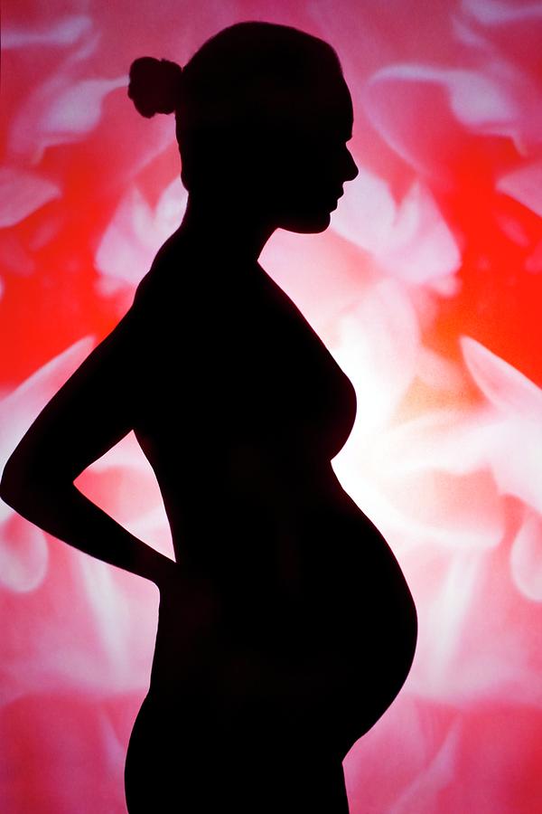 Silhouette Of A Pregnant Woman Photograph by Ian Hooton/science Photo Library