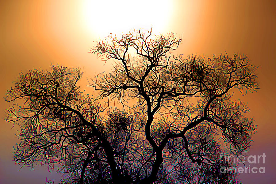 Silhouette of an Oak Tree Digital Art by Wernher Krutein