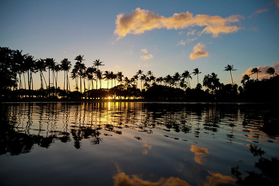 Silhouette Of Palm Trees At The Waters Photograph by Brandon Tabiolo / Design Pics