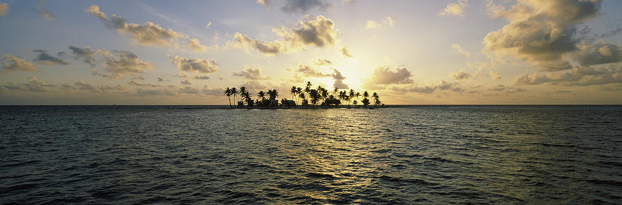 Sunset Photograph - Silhouette Of Palm Trees On An Island by Panoramic Images