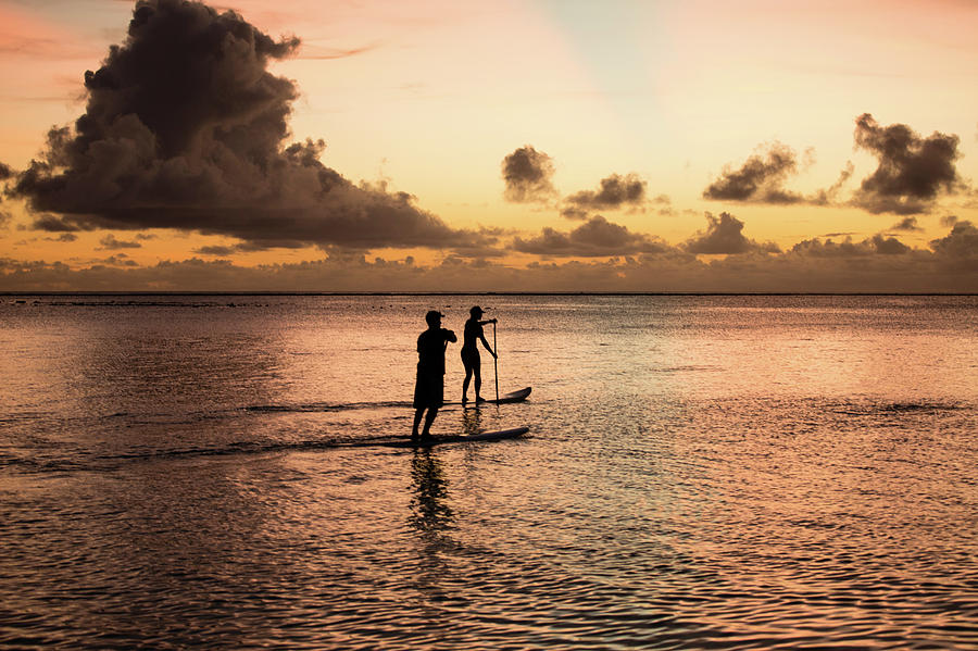 Silhouette Of People Paddleboarding Photograph by Panoramic Images