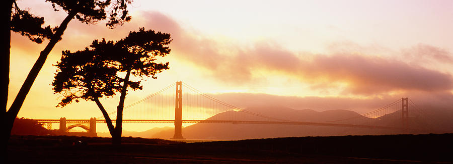 Golden Gate Bridge Photograph - Silhouette Of Trees At Sunset, Golden by Panoramic Images