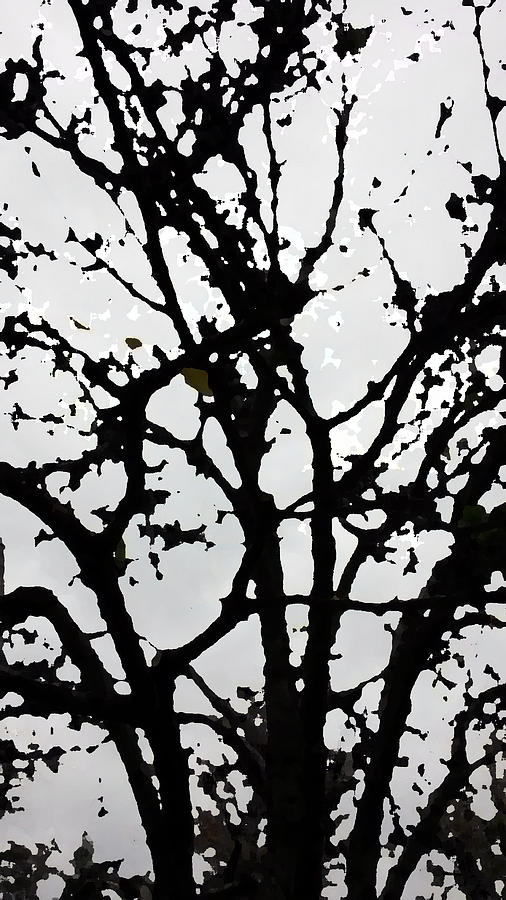 Silhouette Of Winter Tree Digital Art by Eric Forster