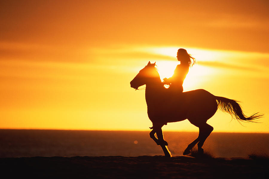 Silhouette of woman riding horse at sunset Photograph by Stockbyte