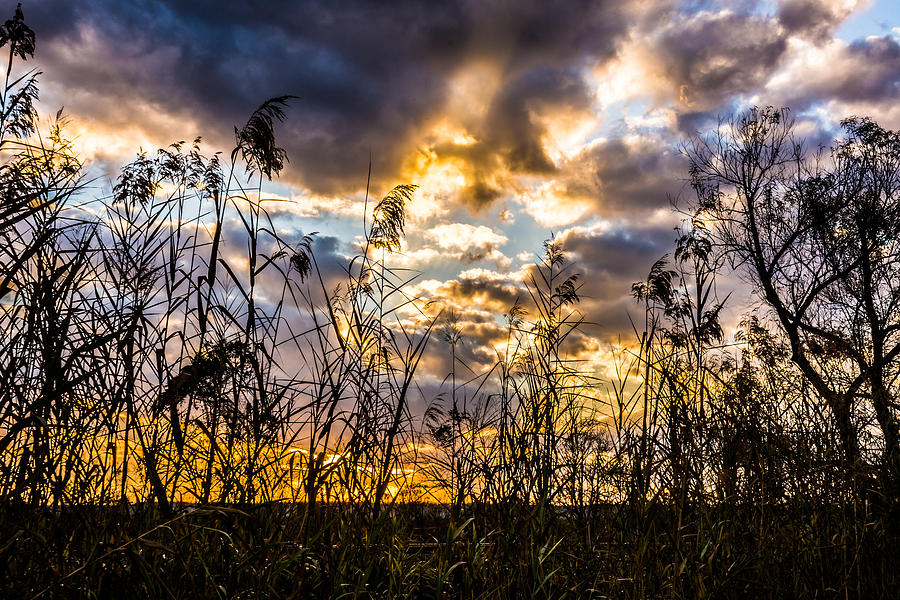 Landscape Photograph - Silhouette Sunrise by Brad Monnerjahn