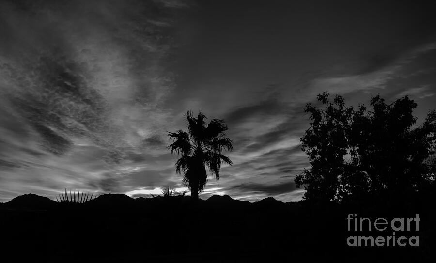 Sunset Photograph - Silhouette Sunrise by Robert Bales