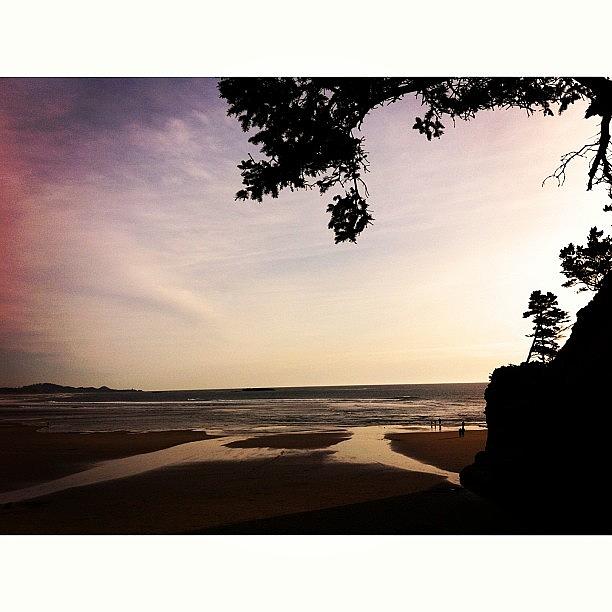 Nature Photograph - #silhouette #trees #beach #coast by Karen Clarke