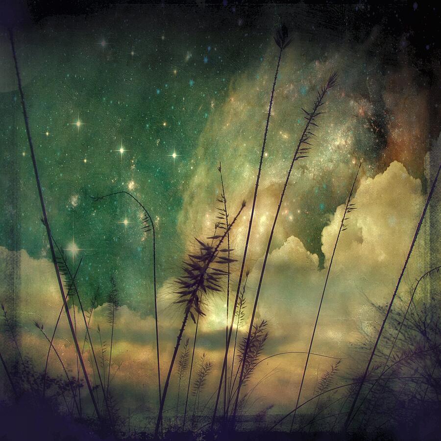 Nature Digital Art - Silhouetted Nature Blast by Gothicrow Images