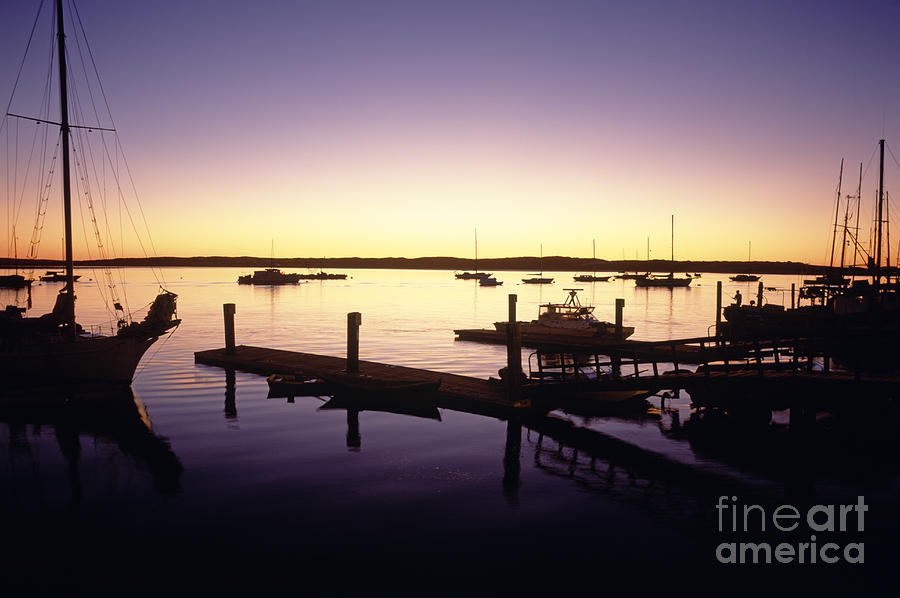 Silhouetted sailboats Morro Bay Photograph by Jim Corwin