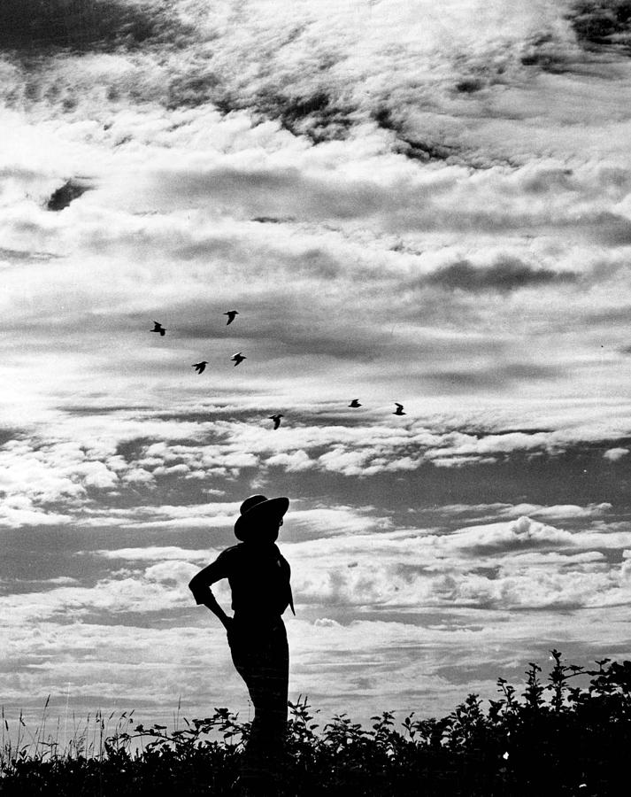 Silhouetted Woman Photograph by Retro Images Archive