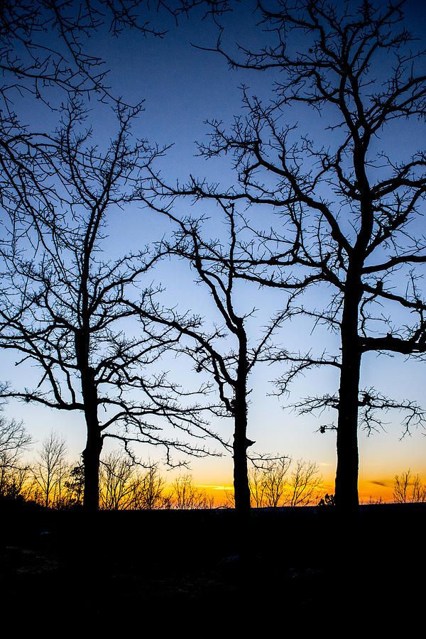 Winter Photograph - Silhouettes at Sunset by Parker Cunningham