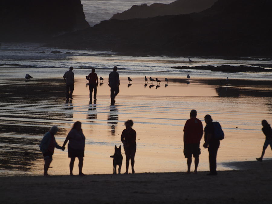 Silhouettes on the Beach Photograph by HW Kateley