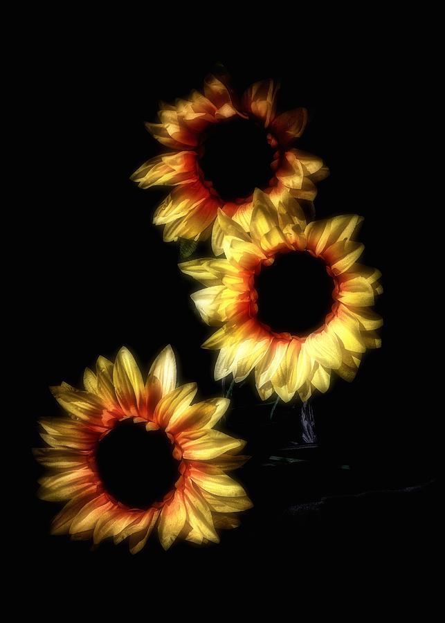 Silk Sunflowers Photograph by Mark Fuller