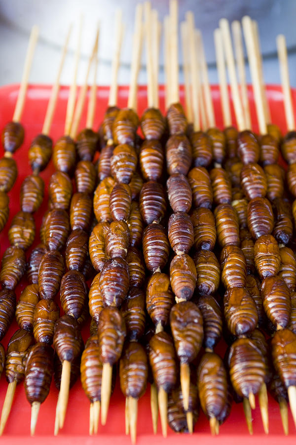 Silkworm chrysalids on skewers, Donghuamen Night Market, Dongcheng. Photograph by Lonely Planet