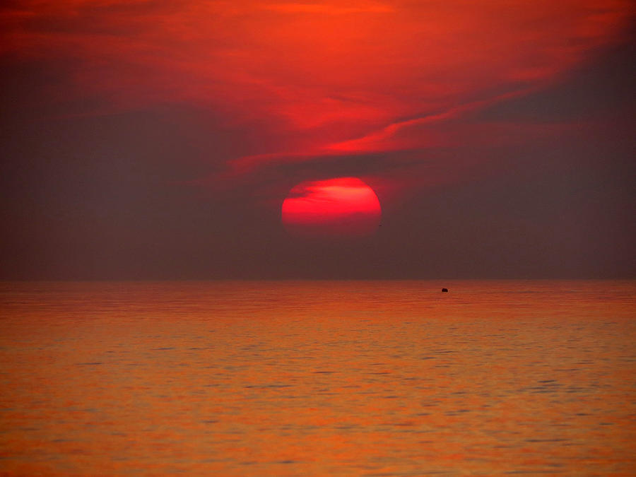 Silky Red Photograph by Dianne Cowen Cape Cod Photography