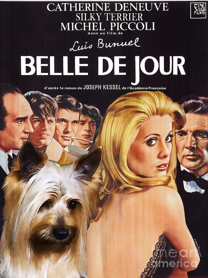 Silky Terrier Art Canvas Print - Belle de Jour Movie Poster Painting by Sandra Sij