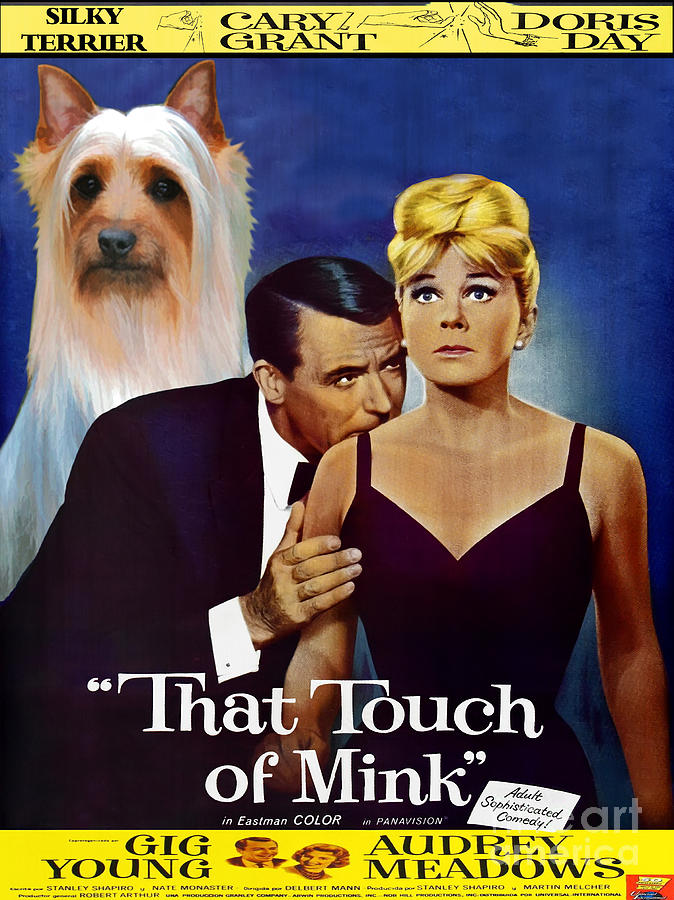 Silky Terrier Art Canvas Print - That Touch of Mink Movie Poster Painting by Sandra Sij