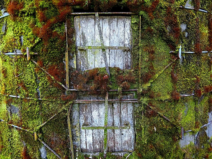 Silo Doors Photograph by Nick Kloepping