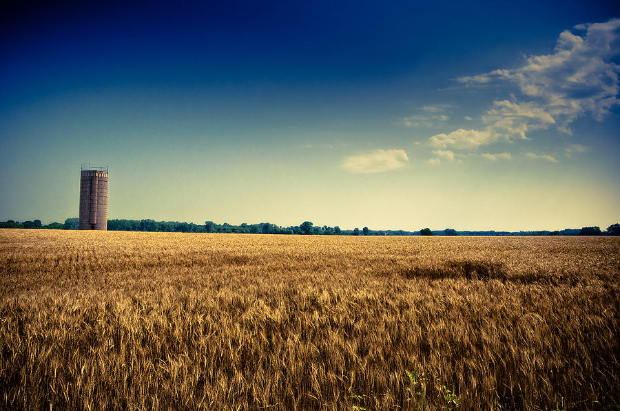 Silo in Wheat Photograph by Eric Benjamin