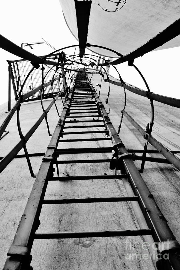 Silo Ladder Photograph by Lynda Dawson-Youngclaus