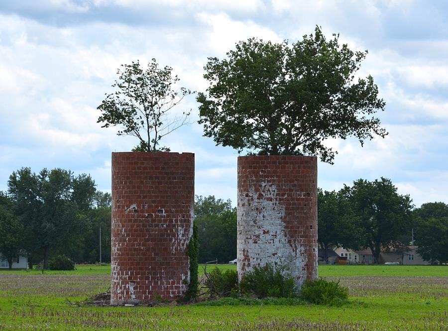 Silo Trees Photograph by Keith Stokes