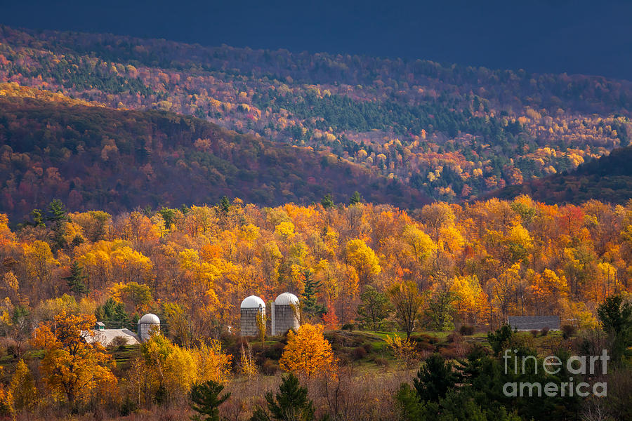 Silos in Gold Photograph by Susan Cole Kelly