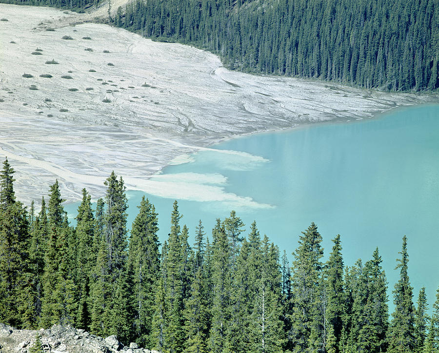 1M3531-Silt Entering Peyto Lake Photograph by Ed  Cooper Photography