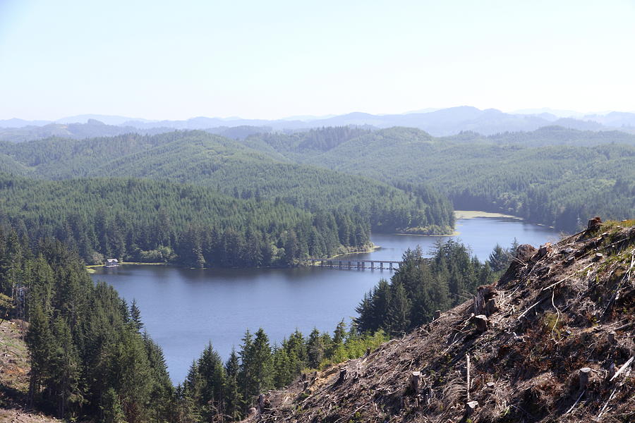 Siltcoos Lake Overview Photograph by Christiane Schulze Art And Photography