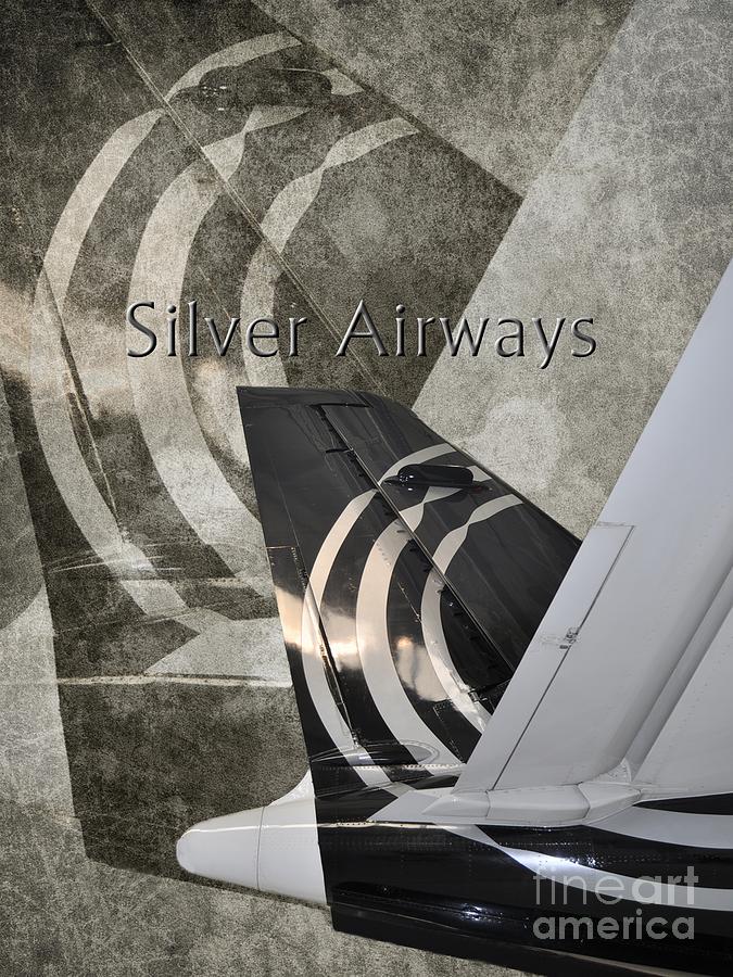 Transportation Photograph - Silver Airways Tail Logo by Diane E Berry