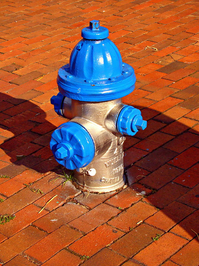 Silver and Blue Hydrant Photograph by Rodney Lee Williams