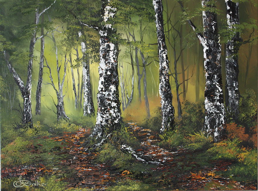 Silver Birch Forest Painting by Jean Walker