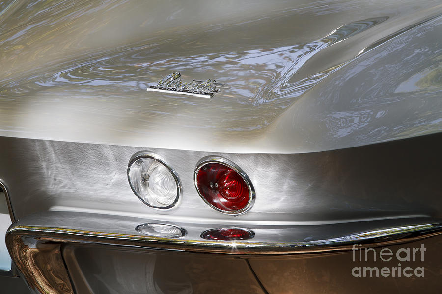 Silver Corvette Photograph by Dennis Hedberg