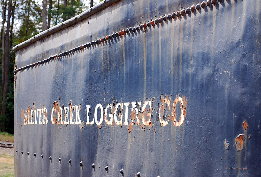 Silver Creek Logging Co Railroad Bin Photograph by Connie Fox