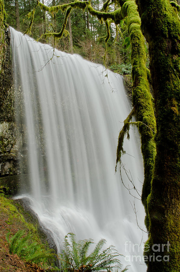 Silver Falls 1 Photograph by Nick Boren