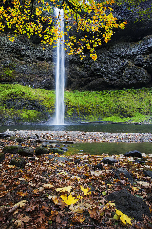 Silver Falls In Fall Photograph By Quynh Ton - Fine Art America