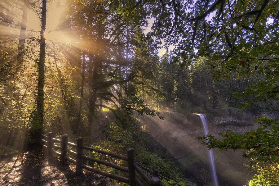 Fall Photograph - Silver Falls Light by Mark Kiver